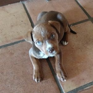 Meet your Posher, Yaditza